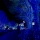 Instalatie solara 1000 LED, 100 M pentru exterior, Albastru